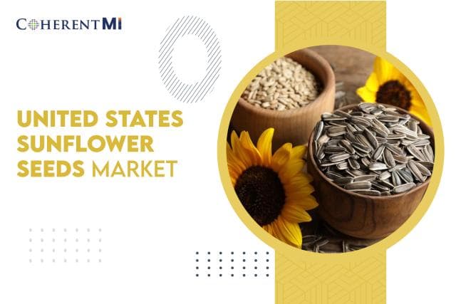 Cover image for United States Sunflower Seeds is Expecting Strong Growth in Coming Years