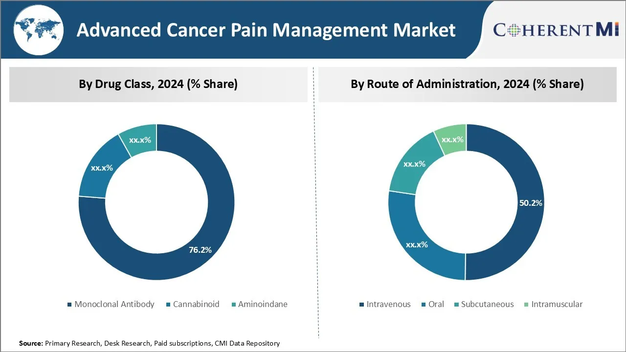 Advanced Cancer Pain Management Market By Segment Type