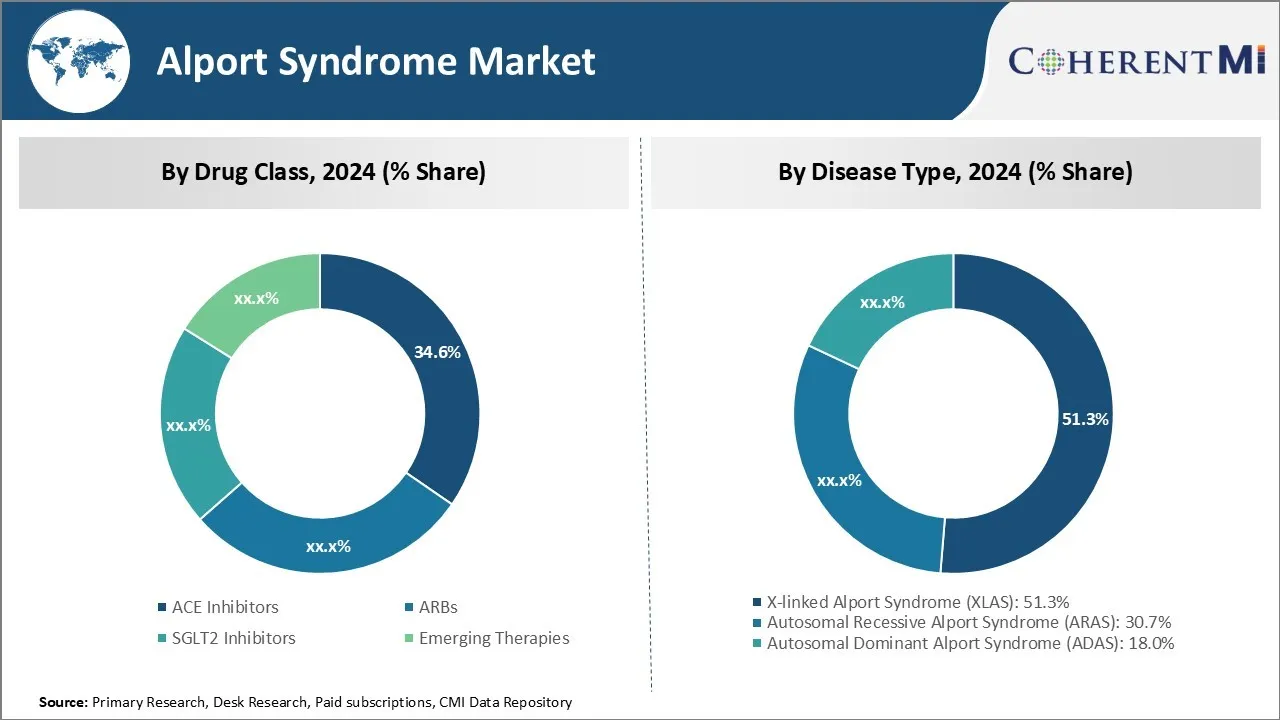Alport Syndrome Market Segment Type