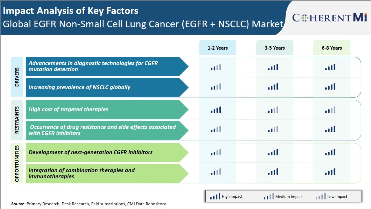 EGFR Non-Small Cell Lung Cancer Market Key Factors