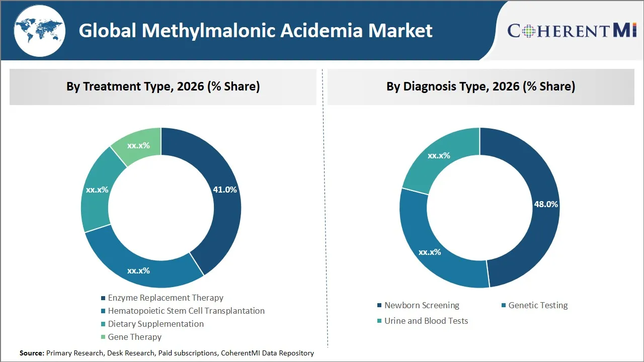 Methylmalonic Acidemia Market By Segmental Insights