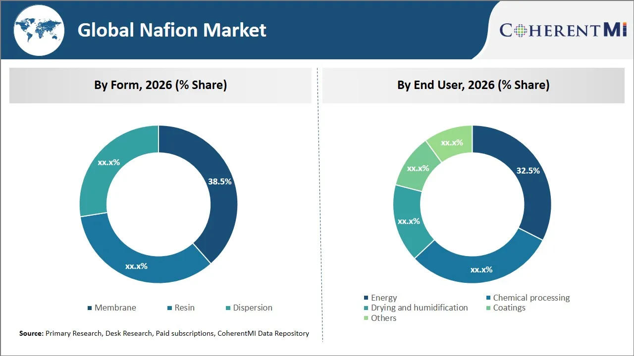 Nafion Market By Segmental Insights