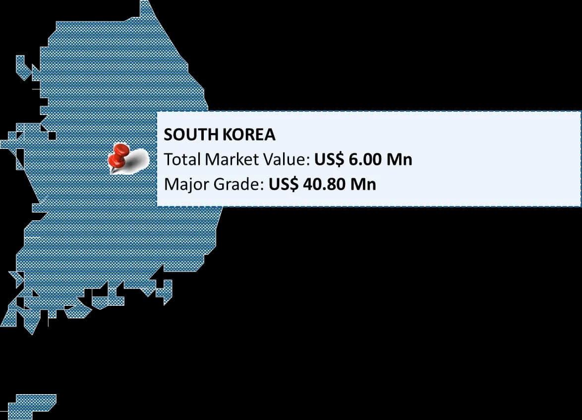 South Korea Bovine Serum Albumin Market By Region