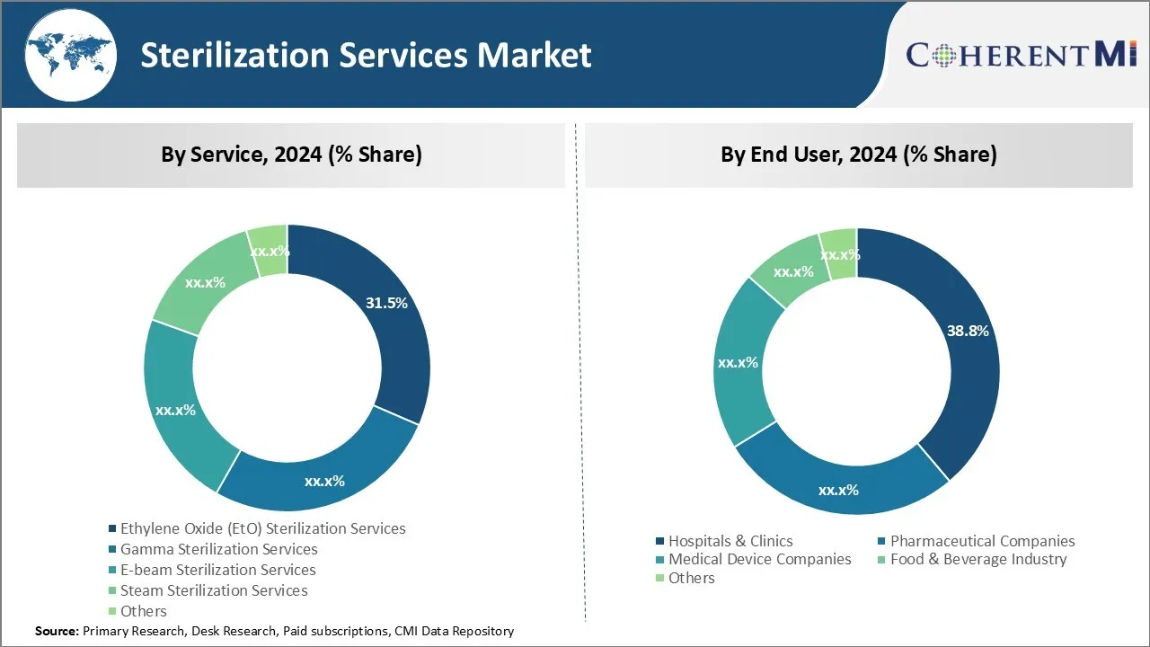 Sterilization Services Market By Segment Type