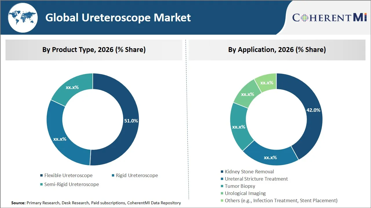 Ureteroscope Market By Segmental Insights