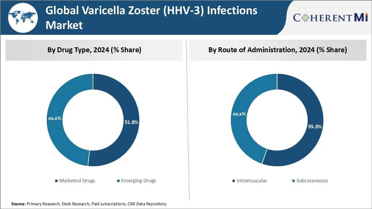 Varicella Zoster (HHV-3) Infections Market By Segments