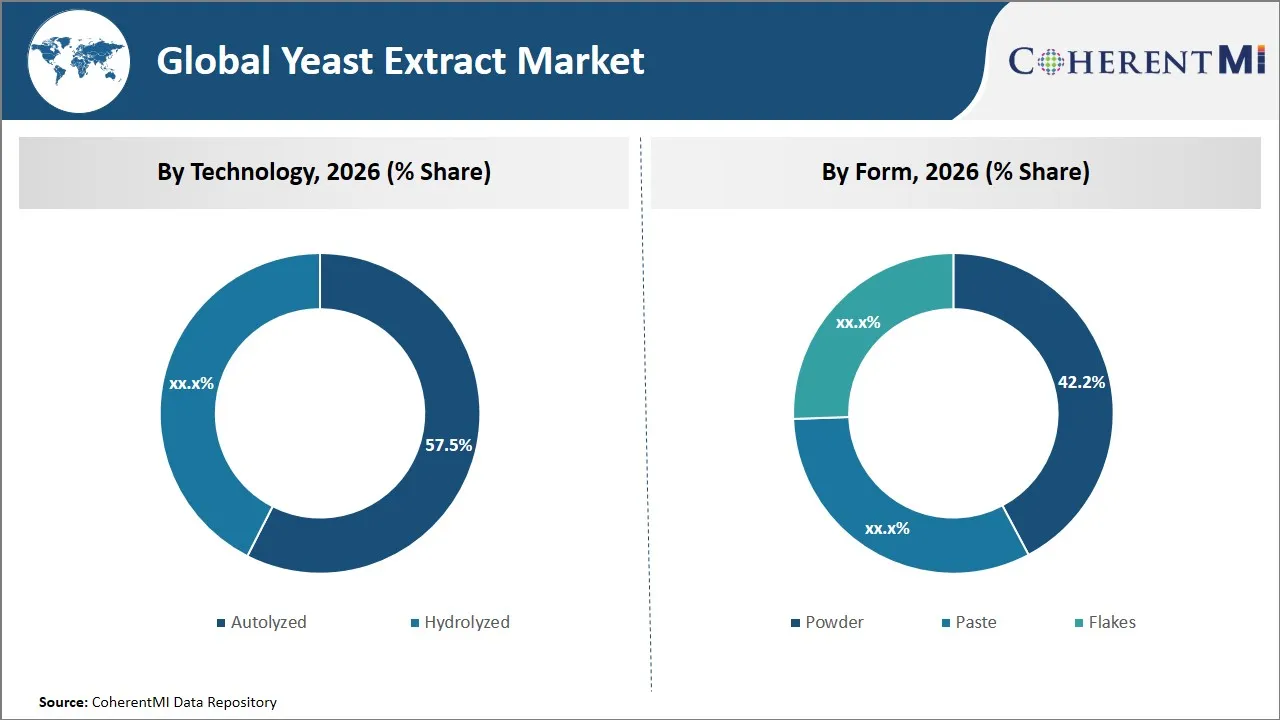 Yeast Extract Market By Segmental Insights